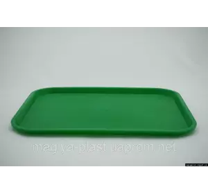 Пластиковый прямоугольный поднос 44 см х 35 см (зеленый цвет)