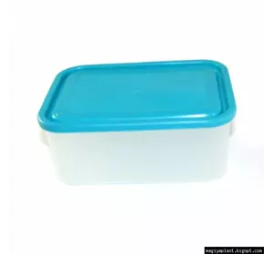 Пластиковый прямоугольный контейнер (лоток) 0.8л с мягкой крышкой (разные цвета крышки)