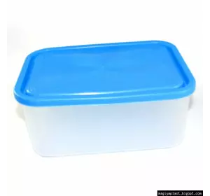 Пластиковый прямоугольный контейнер (лоток) 1.9л с мягкой крышкой (разные цвета крышки)