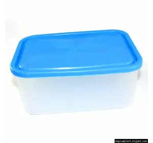 Пластиковый прямоугольный контейнер (лоток) 1.9л с мягкой крышкой (разные цвета крышки) Пластиковый прямоугольный контейнер (лоток) 1.9л с мягкой крышкой (разные цвета крышки)
