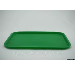 Пластиковый прямоугольный поднос (зеленый цвет) Пластиковый прямоугольный поднос (зеленый цвет)
