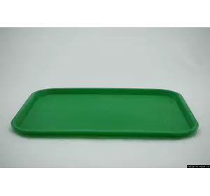 Поднос  445х350 (цв.зеленый) Поднос  445х350 (цв.зеленый)